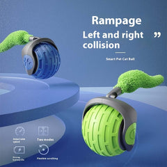 Cat Toys